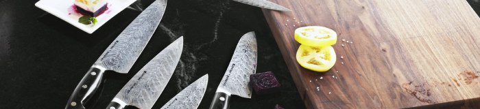 Bob Kramer Euro Stainless knive fra Zwilling